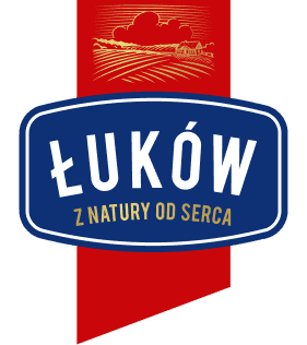 Logo ZML